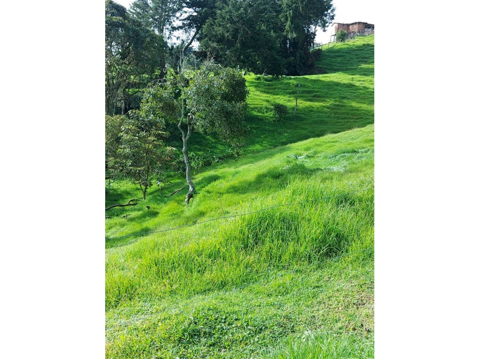 Lote en san Félix Sector el Yarumo - 2
