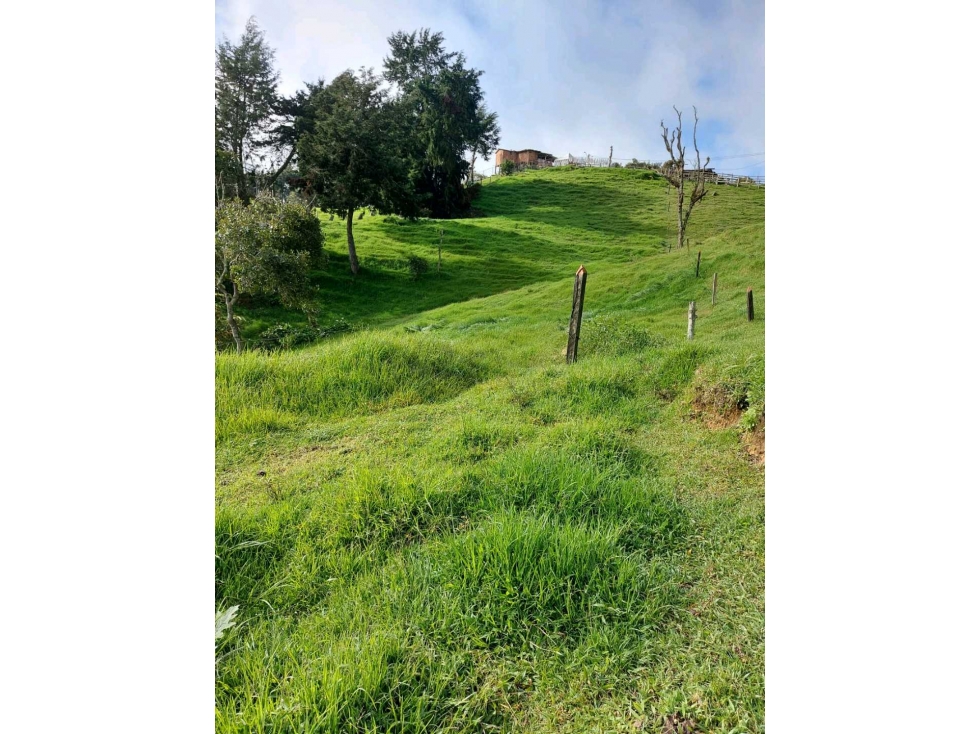 Lote en san Félix Sector el Yarumo - 3