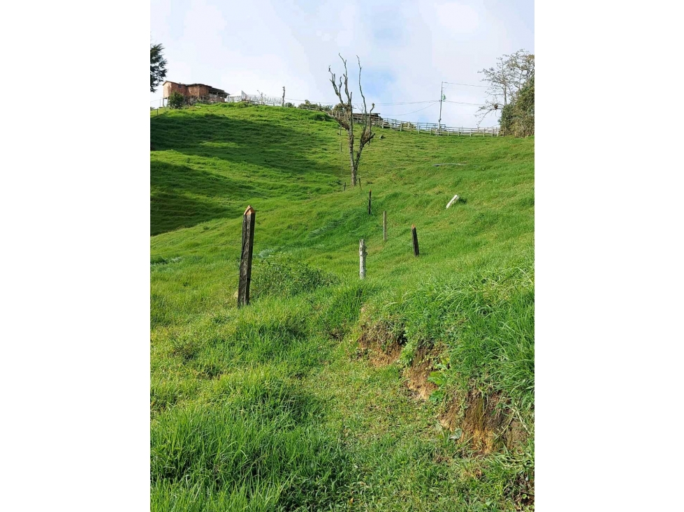 Lote en san Félix Sector el Yarumo - 4