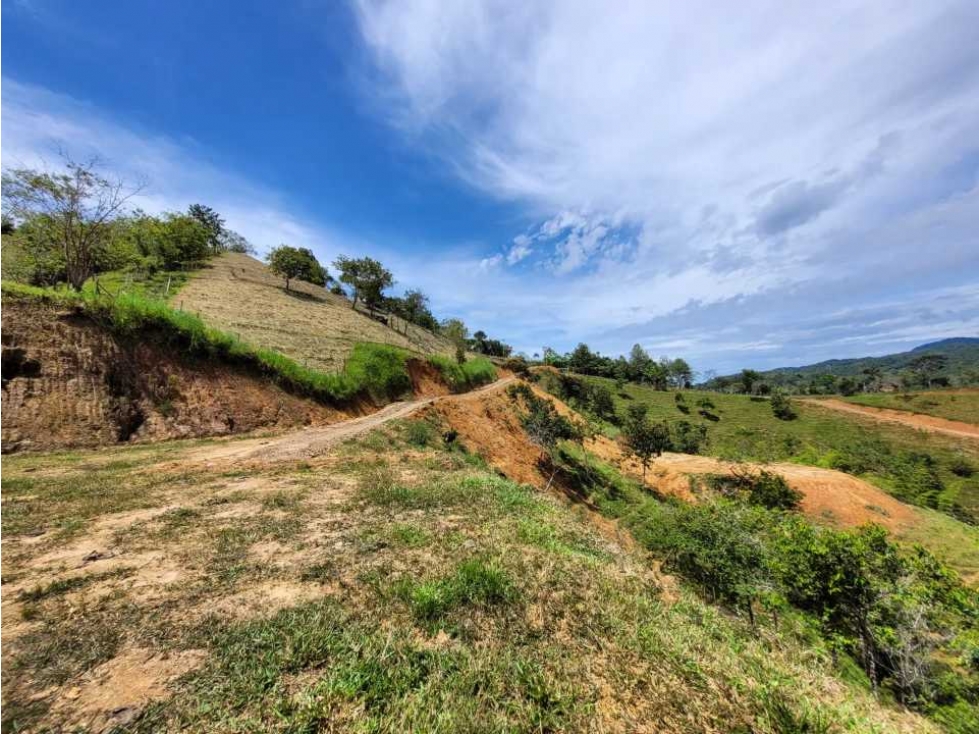 Lote en San Rafael Antioquia - 2