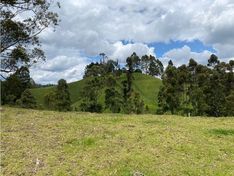 Lote en unidad cerrada con vista al horizonte — foto 4