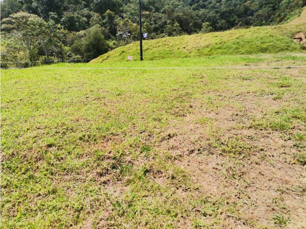 Lote en unidad cerrada la ceja sector el tambo — foto 4