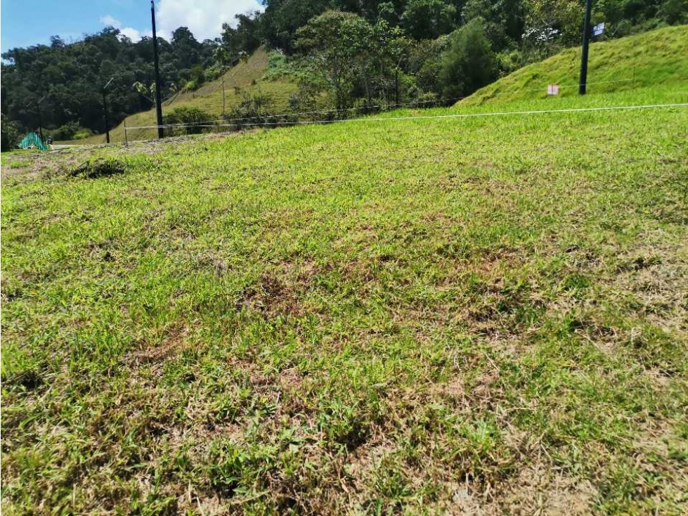 Lote en unidad cerrada la ceja sector el tambo — foto 5