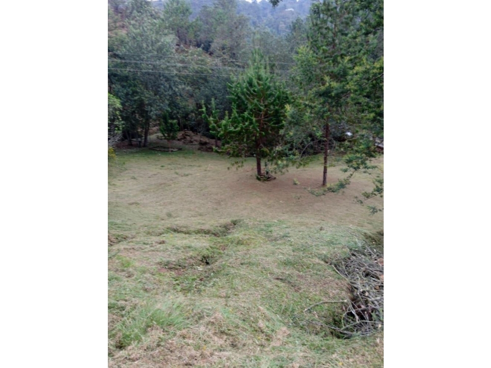 Lote en unidad de Loma del Escobero Alto (*) - 6