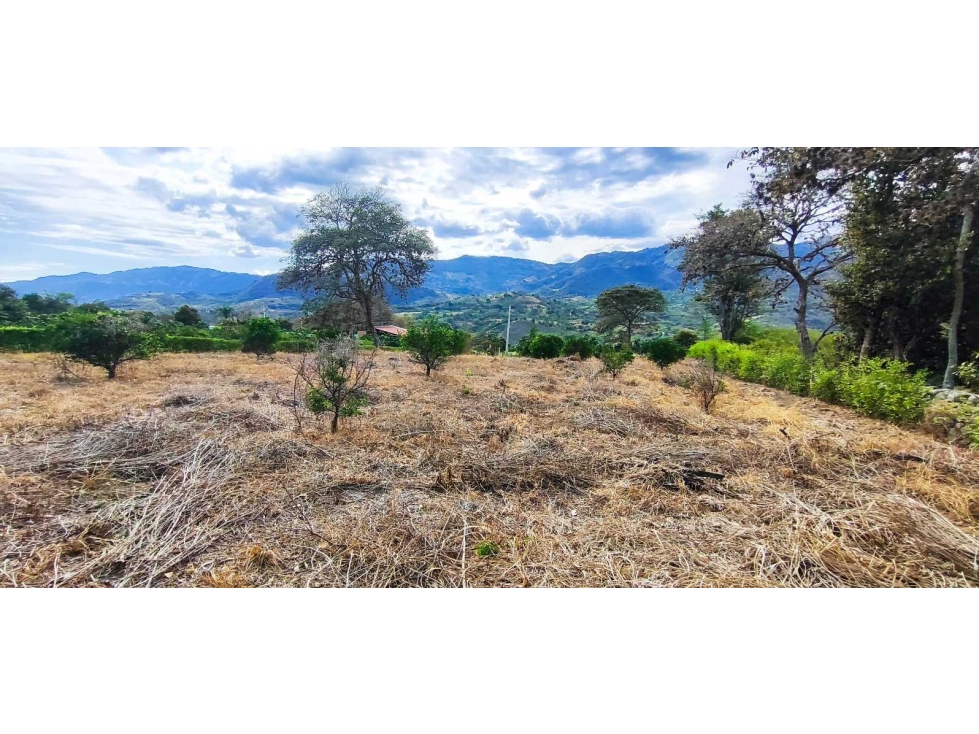 Lote en urbanización de 2000 M2 en 230 mill en #lamesacundinamarca — foto 3