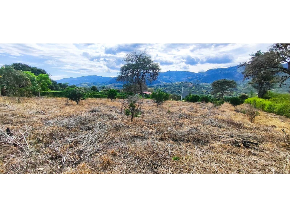 Lote en urbanización de 2000 M2 en 230 mill en #lamesacundinamarca — foto 5