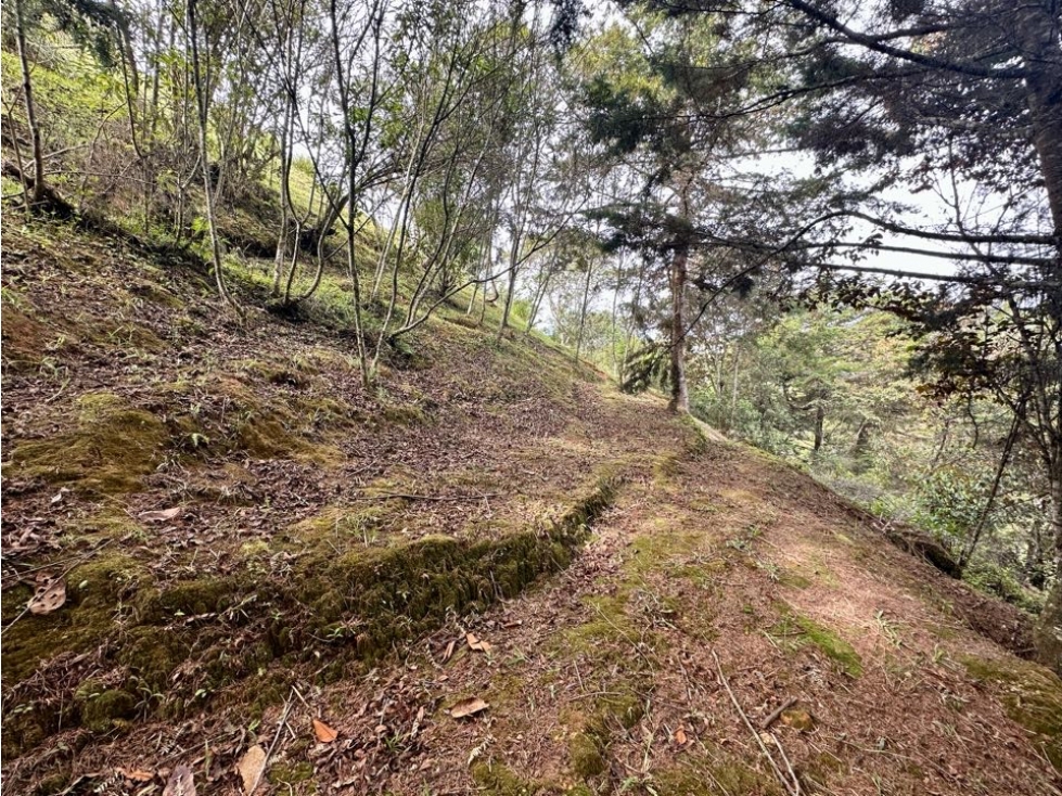 LOTE CAMPESTRE EN EL RETIRO — foto 6