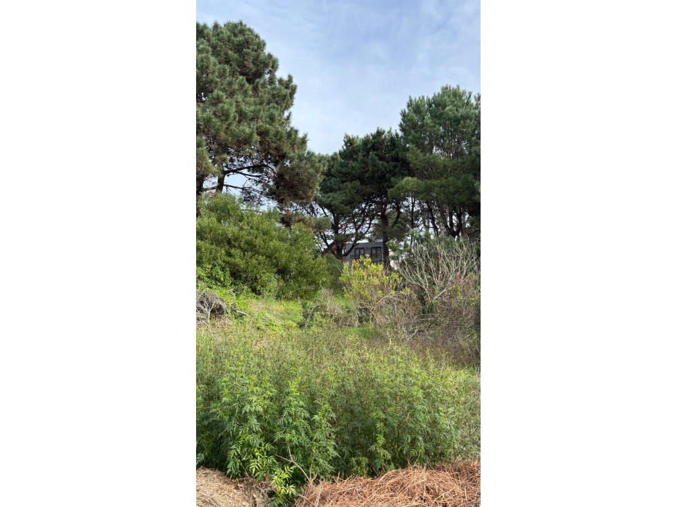 LOTE EN VALERIA DEL MAR - 5