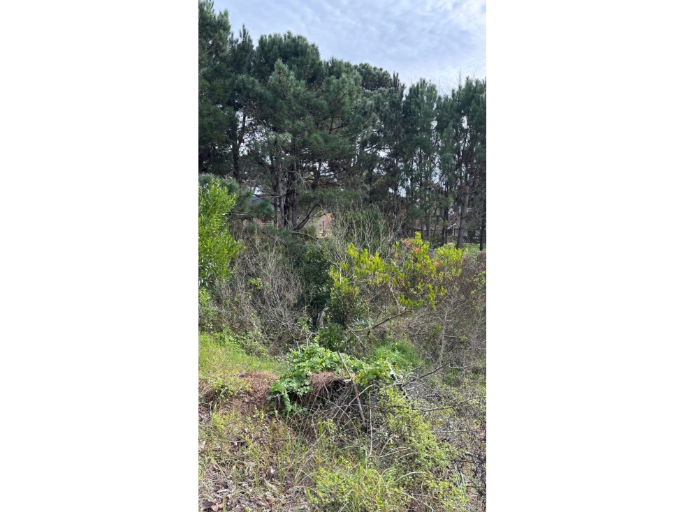 LOTE EN VALERIA DEL MAR - 6