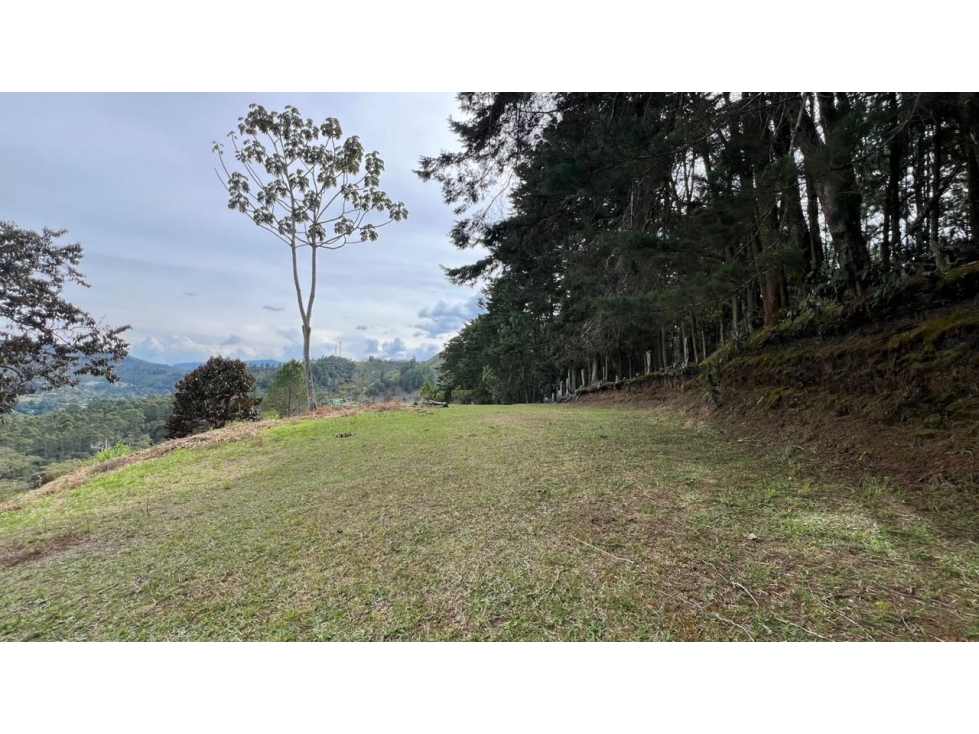 Lote en venta 5.000 m² vista a bosque y montaña Sector Flot — foto 2