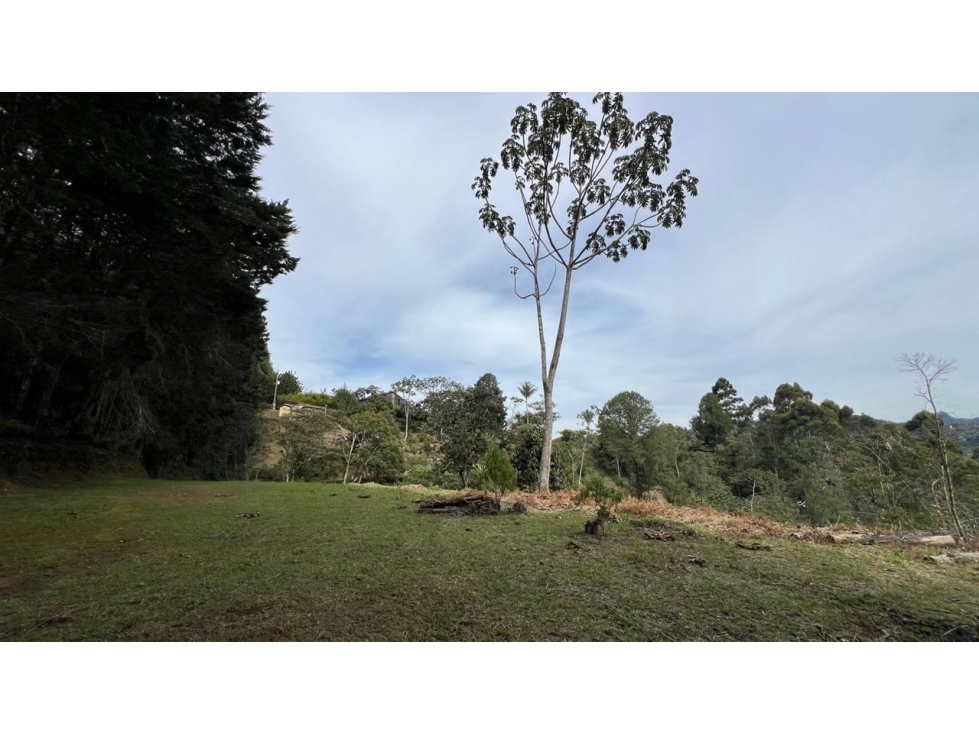Lote en venta 5.000 m² vista a bosque y montaña Sector Flot — foto 3