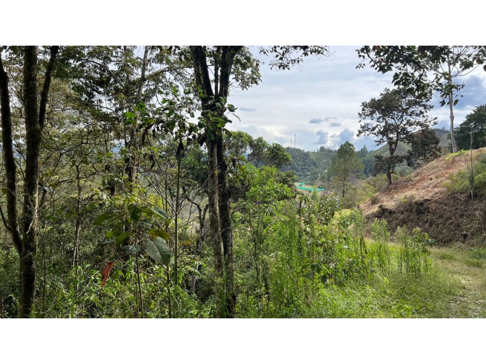 Lote en venta 5.000 m² vista a bosque y montaña Sector Flot — foto 4