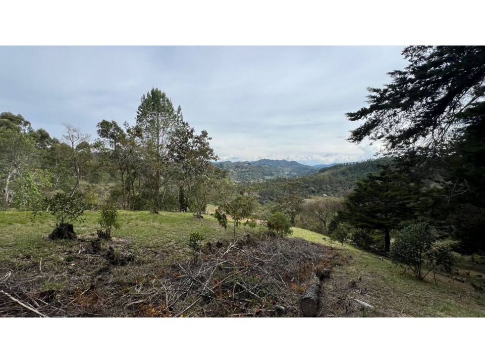 Lote en venta 5.000 m² vista a bosque y montaña Sector Flot — foto 5
