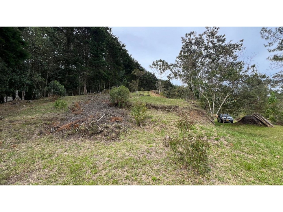 Lote en venta 5.000 m² vista a bosque y montaña Sector Flot — foto 6