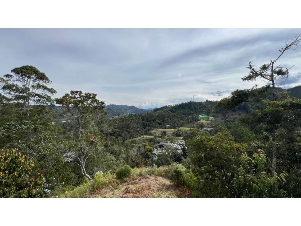 Lote en venta 5.000 m² vista a bosque y montaña Sector Flot — foto 4