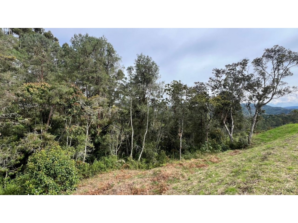 Lote en venta 5.000 m² vista a bosque y montaña Sector Flot — foto 5