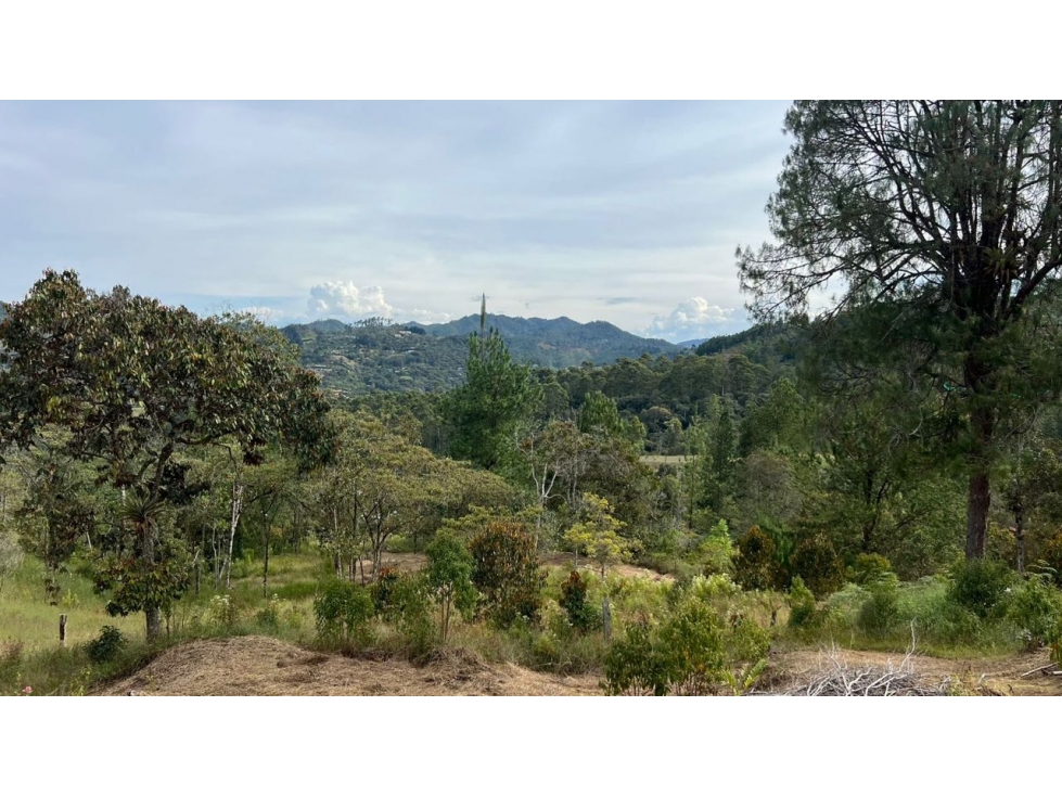 Lote en venta 6.400 m² vista a bosque y montaña Sector Flot — foto 2