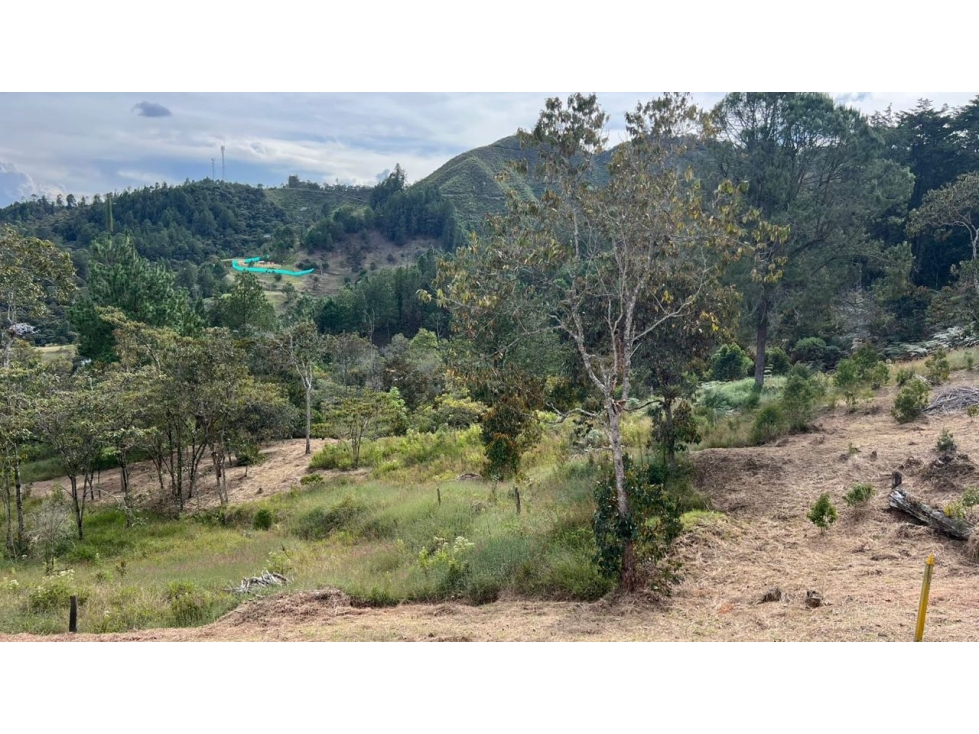 Lote en venta 6.400 m² vista a bosque y montaña Sector Flot — foto 3