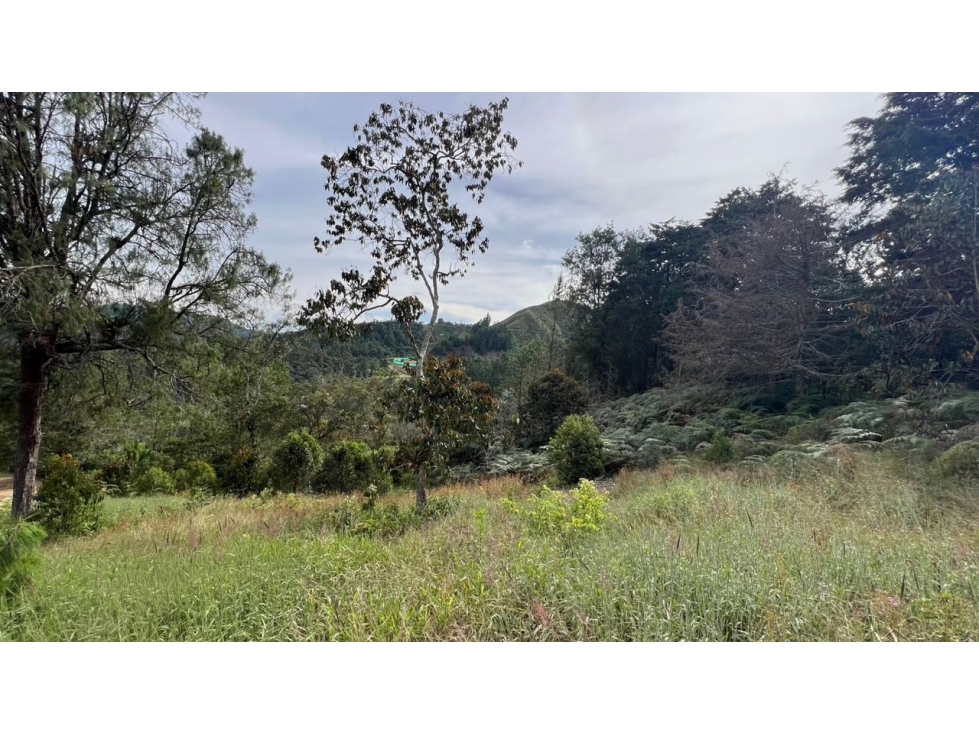 Lote en venta 6.400 m² vista a bosque y montaña Sector Flot — foto 4
