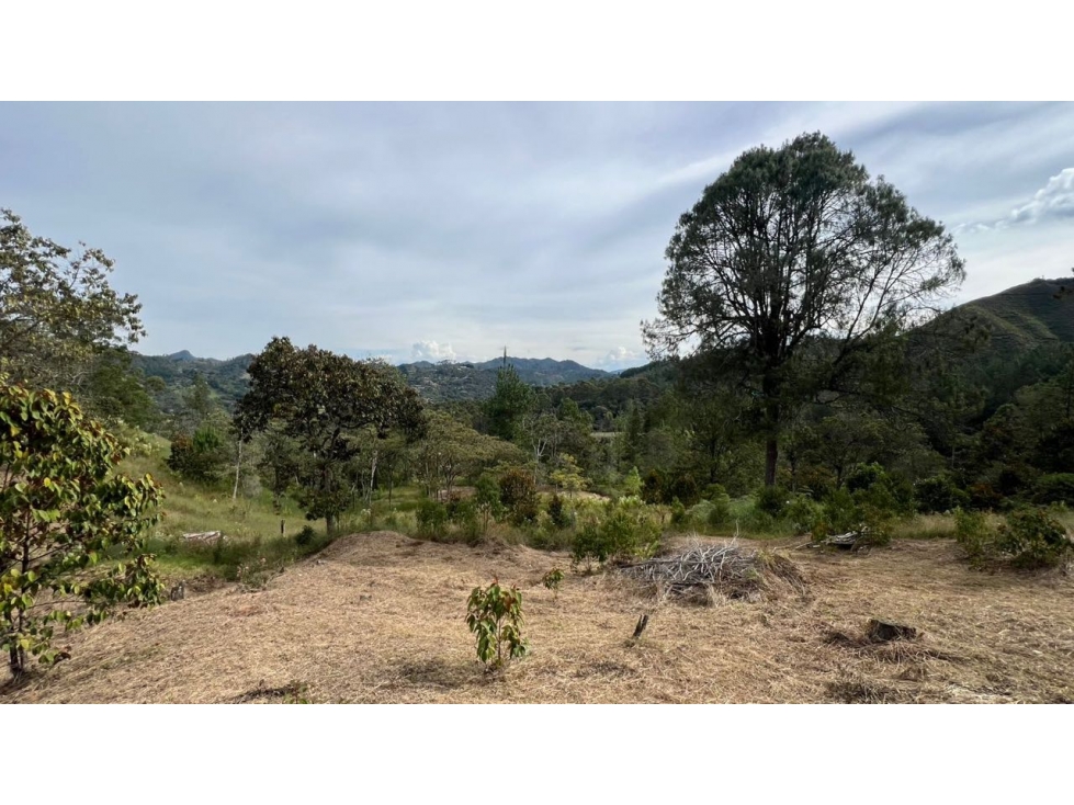 Lote en venta 6.400 m² vista a bosque y montaña Sector Flot — foto 5