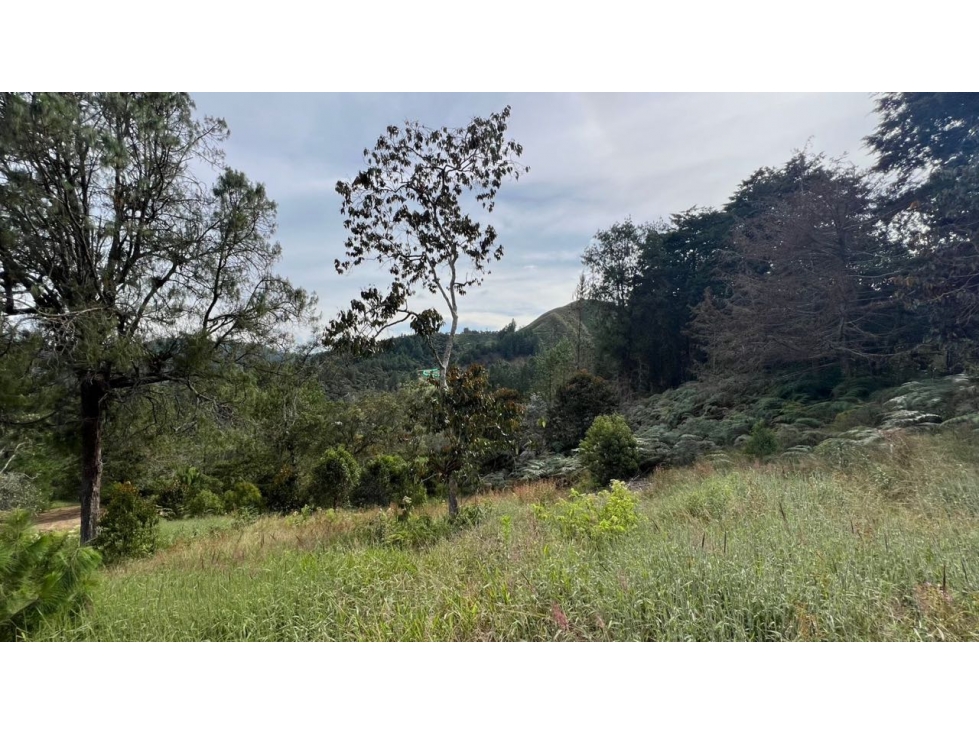 Lote en venta 6.400 m² vista a bosque y montaña Sector Flot — foto 6