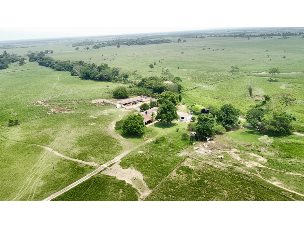 Lote en venta - Acacías - 1