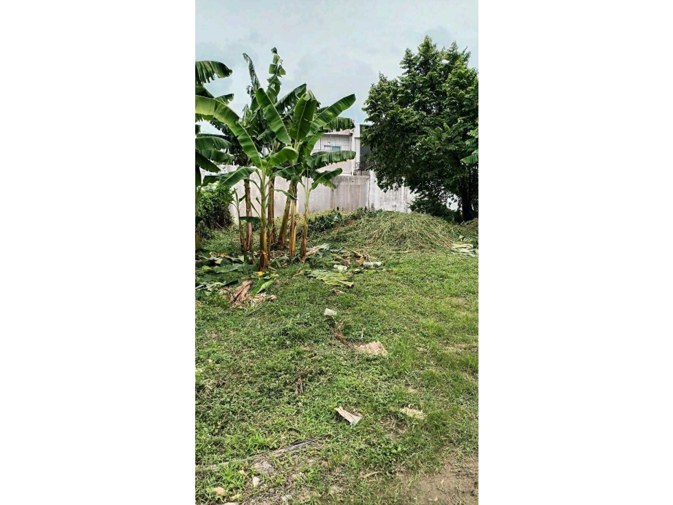 LOTE EN VENTA AL NORTE DE MONTERIA