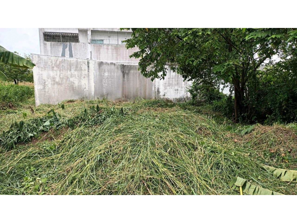 LOTE EN VENTA AL NORTE DE MONTERIA — foto 2