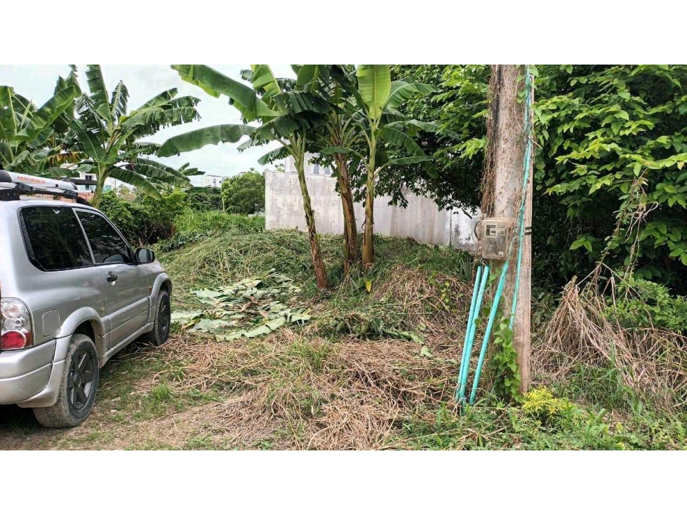 LOTE EN VENTA AL NORTE DE MONTERIA — foto 4