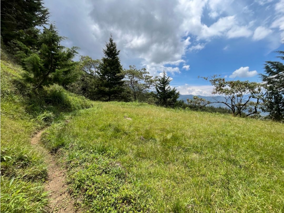 Lote en Venta Alto de las Palmas — foto 4