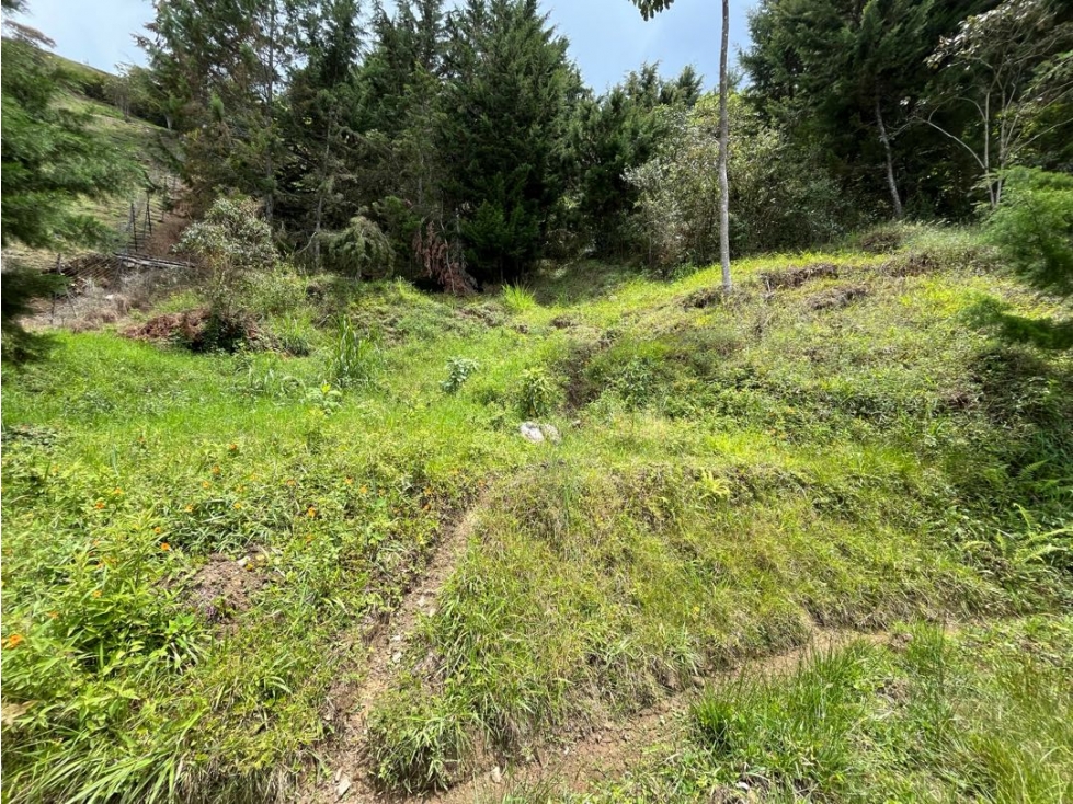Lote en Venta Alto de las Palmas — foto 5