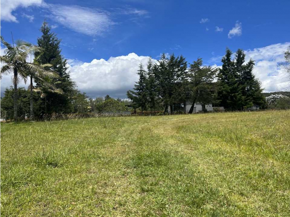 LOTE EN VENTA ALTO DE LAS PALMAS