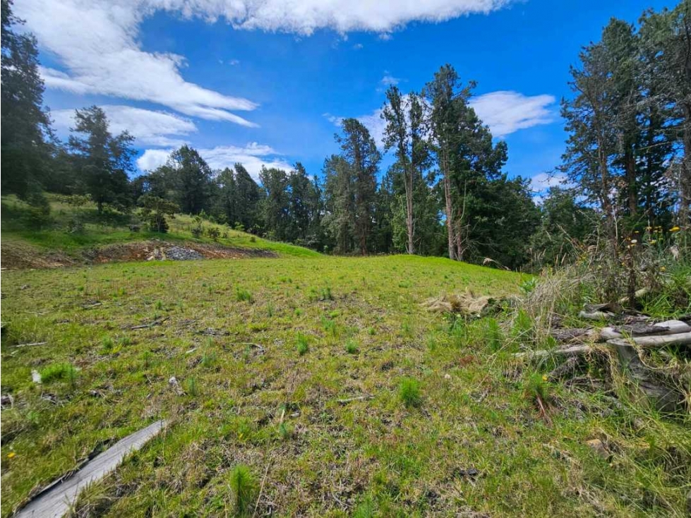 LOTE EN VENTA ALTO DE LAS PALMAS SECTOR LA ACUARELA — foto 5
