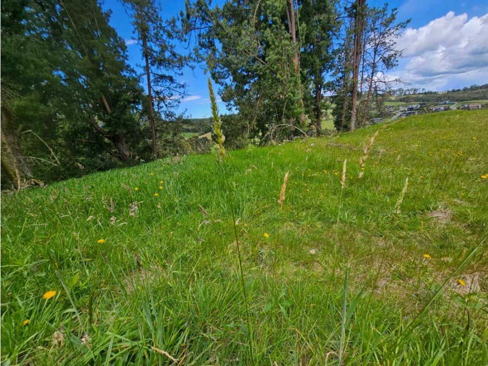 LOTE EN VENTA ALTO DE LAS PALMAS SECTOR LA ACUARELA — foto 6