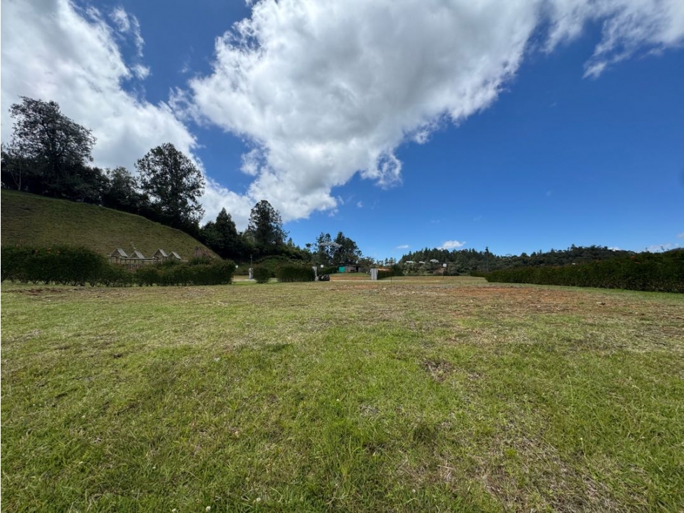 Lote en venta Alto de las Palmas — foto 5