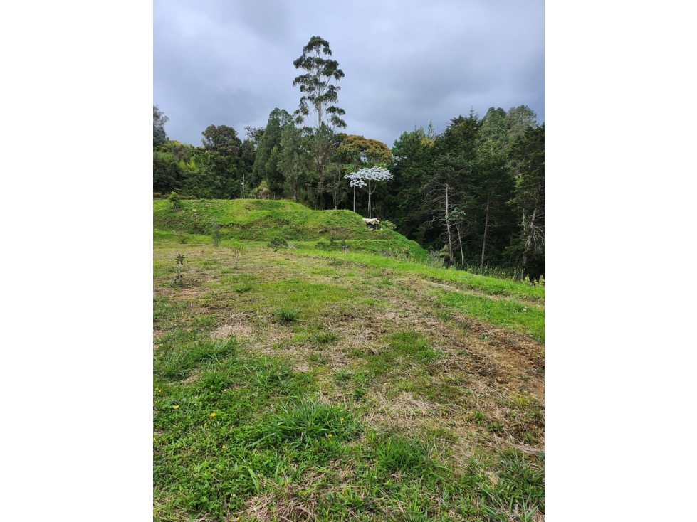 Lote en Venta en Alto de las Palmas