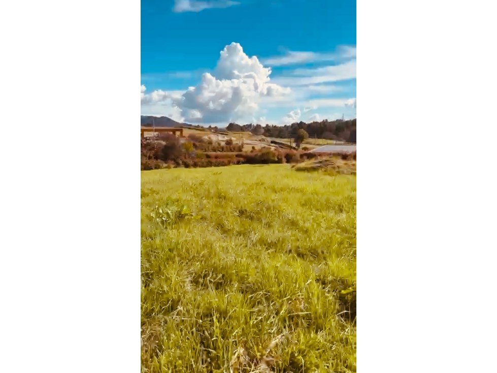 Lote en venta en Alto de Palmas - 3