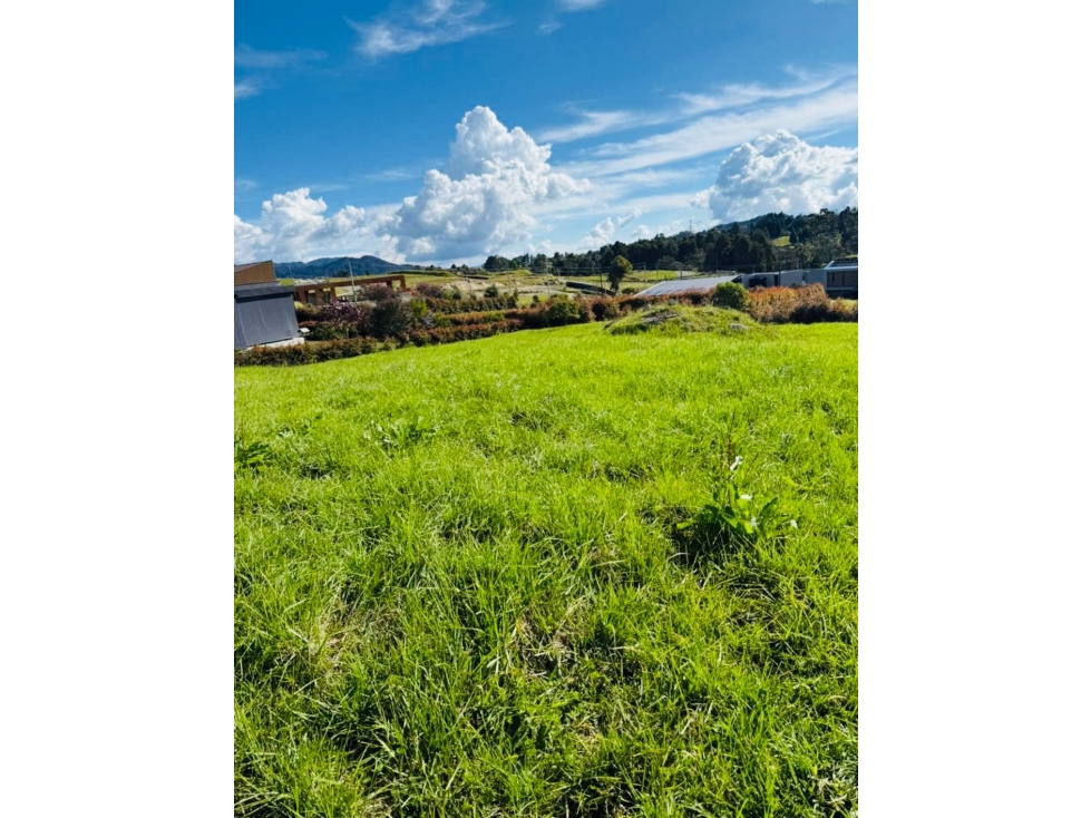 Lote en venta en Alto de Palmas - 4