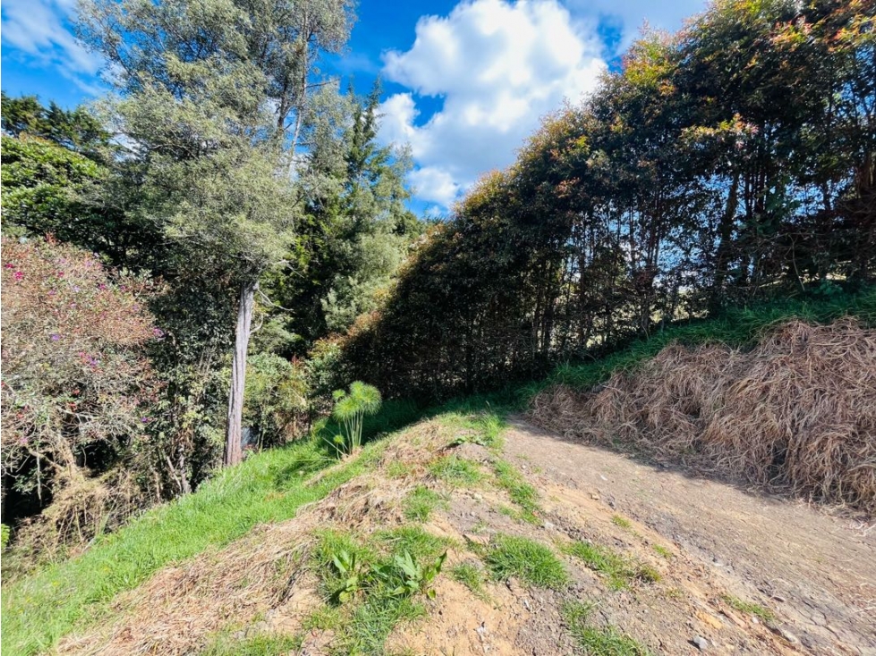 Lote en Venta en Alto de las Palmas
