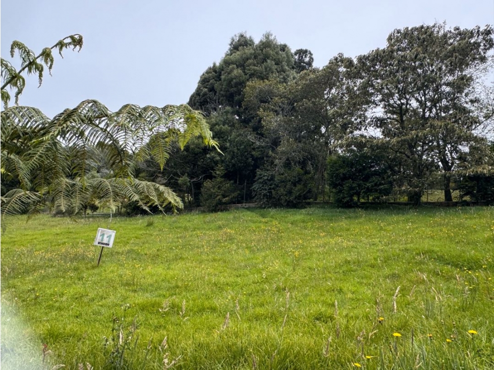 Lote en Venta - Altos de Arrayanes Alto de las Palmas