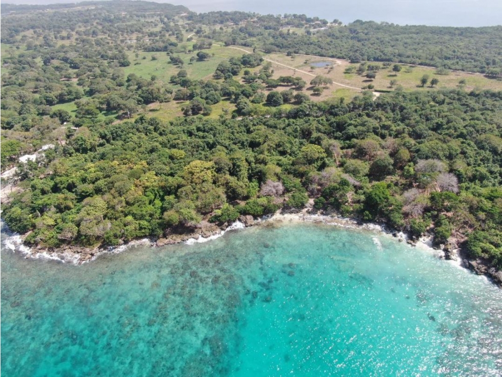 Lote en venta Barú. - 1