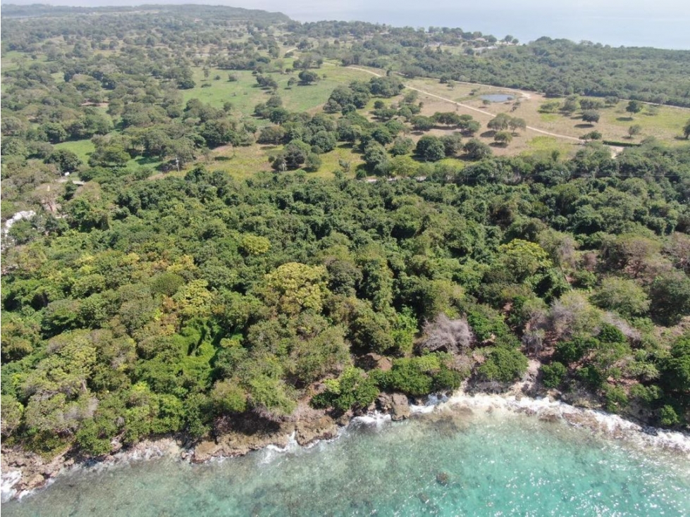 Lote en venta Barú. - 2