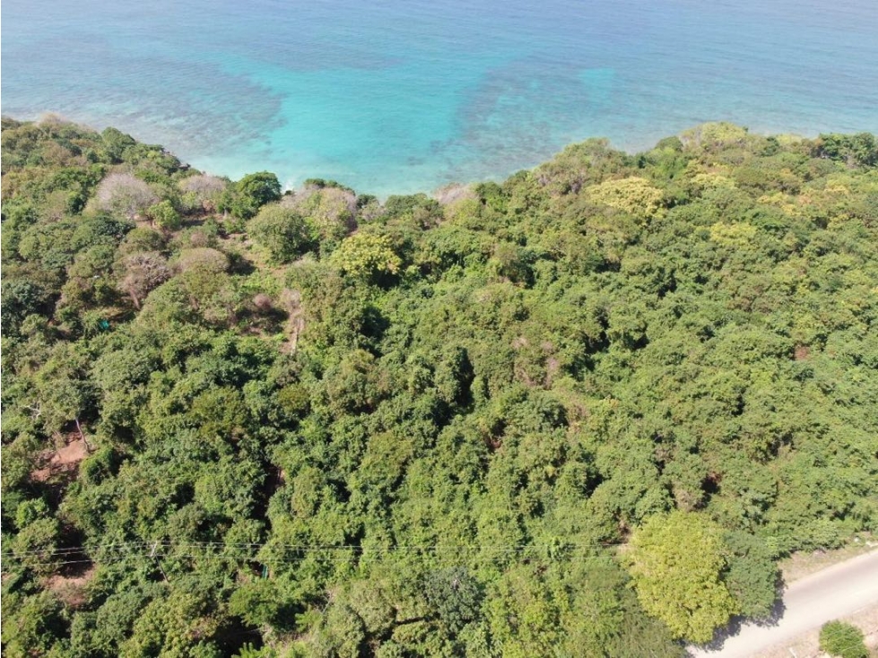 Lote en venta Barú. - 3