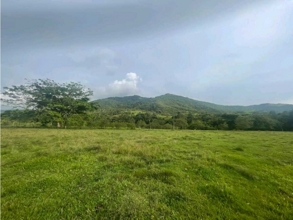 Lote en venta Buga - 3