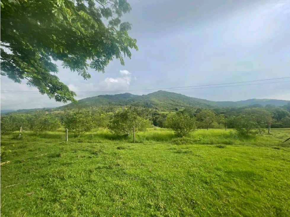 Lote en venta Buga - 4