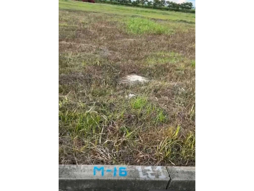 Lote en venta buga ciudadela del sur urbanizado con servicios publicos - 3