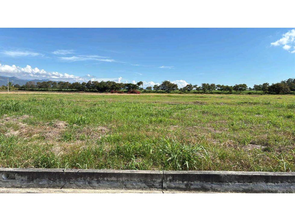 Lote en venta buga ciudadela del sur urbanizado con servicios publicos - 4