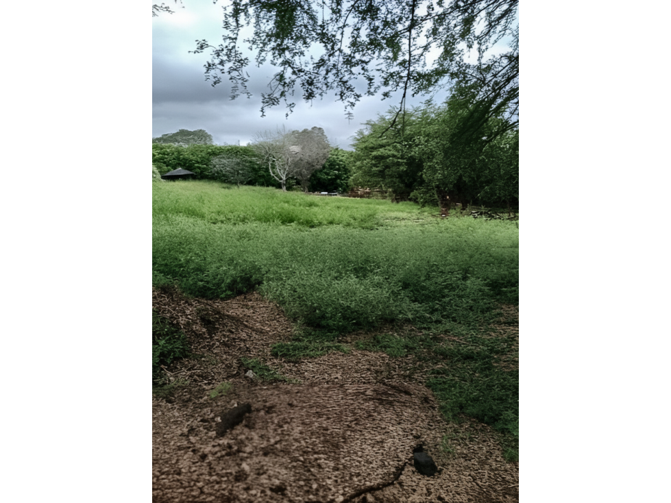 Lote en venta - Cali