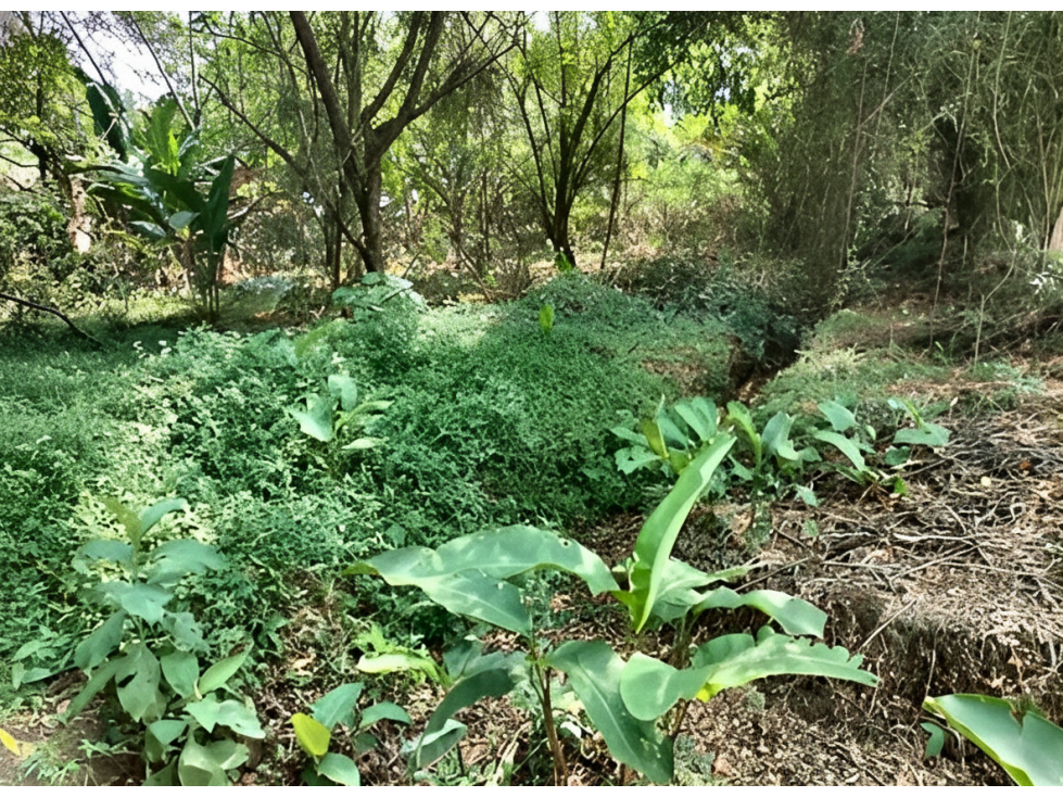 Lote en venta - Cali