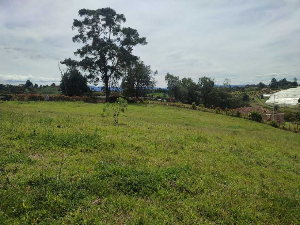 Lote en venta Carmen de víboral Alto grande. — foto 2